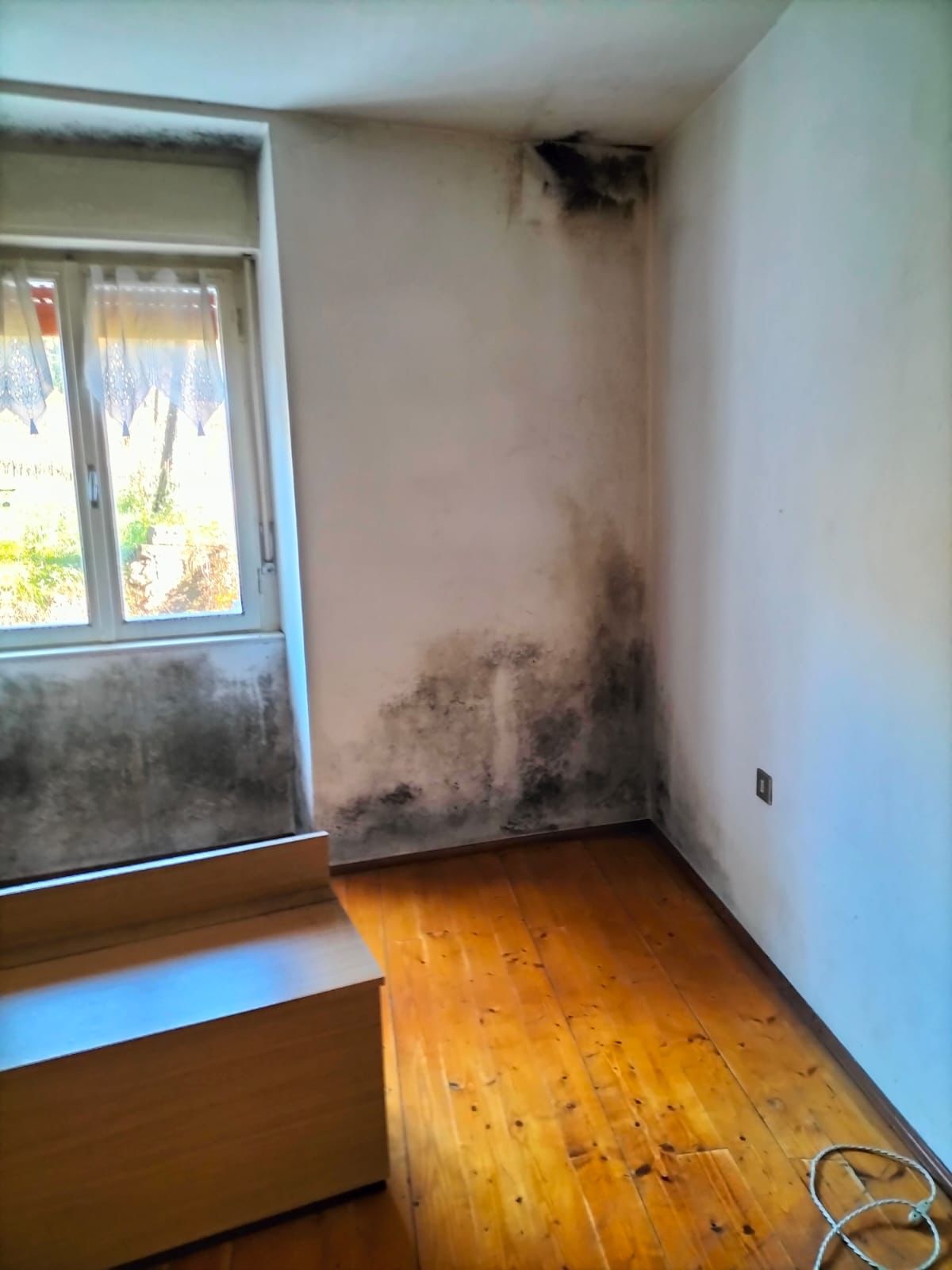 trattamento antimuffa (5).jpg